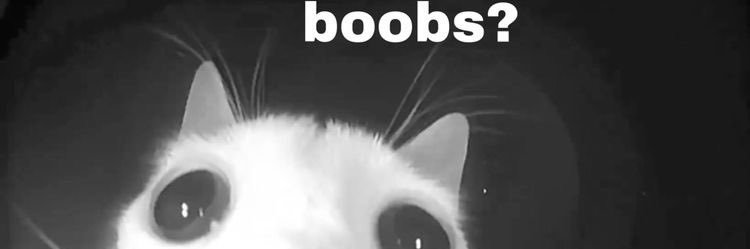 LovissaWebber's profile banner image