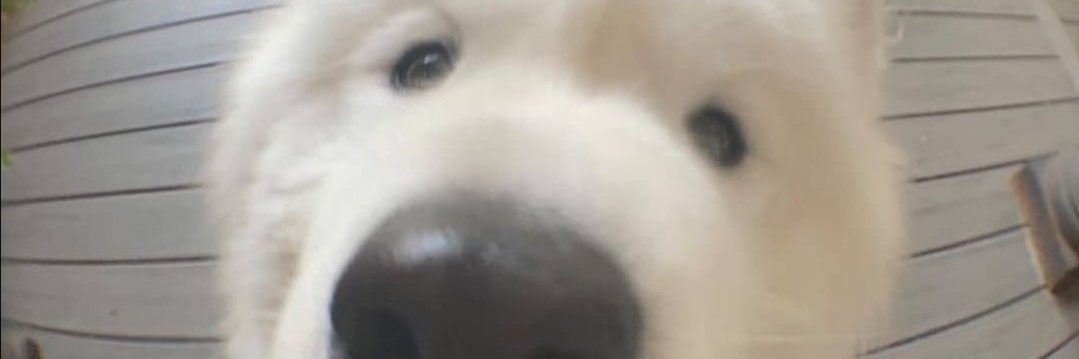 saint__st's profile banner image