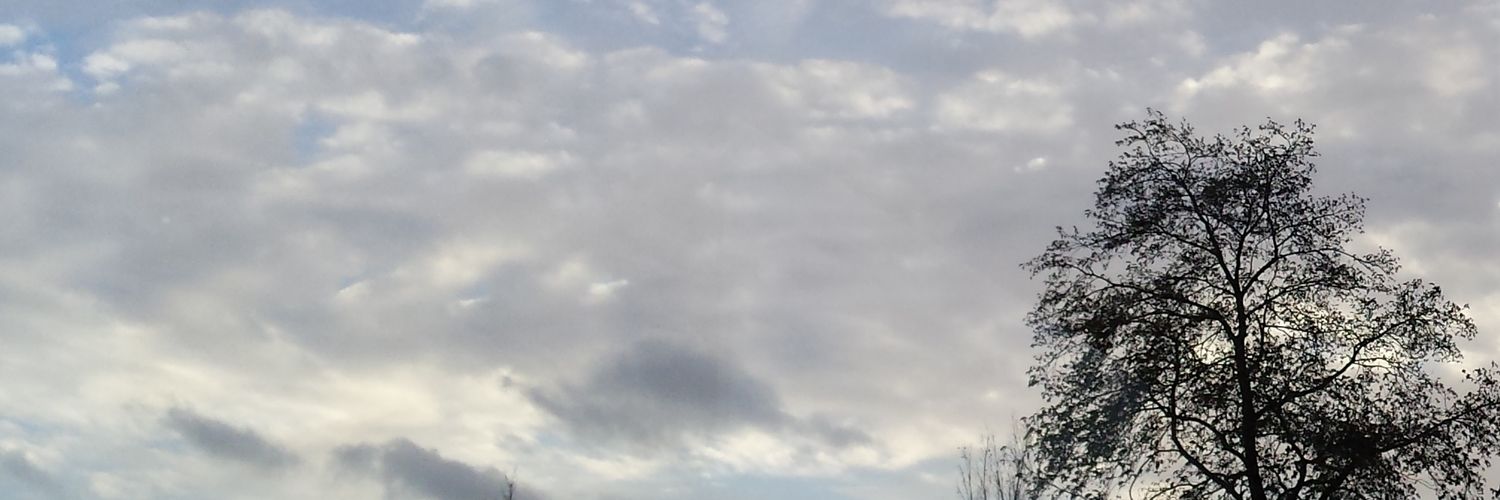 it_is_Amy_'s profile banner image