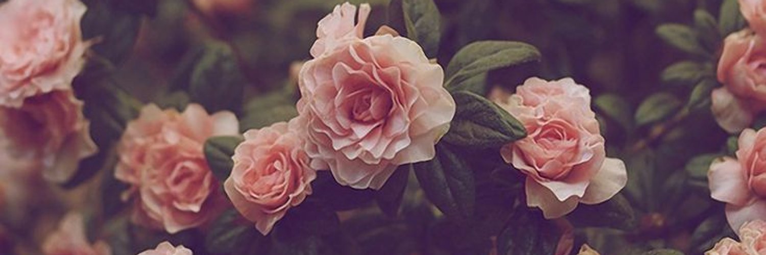 Savalina_K's profile banner image