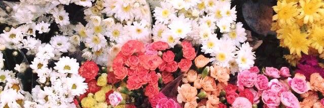 Asma96ly's profile banner image