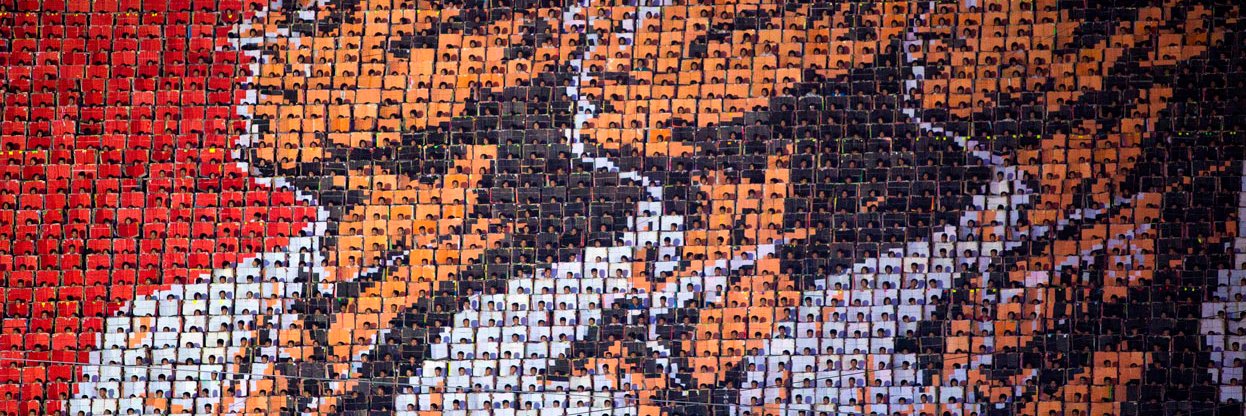 Willem banner
