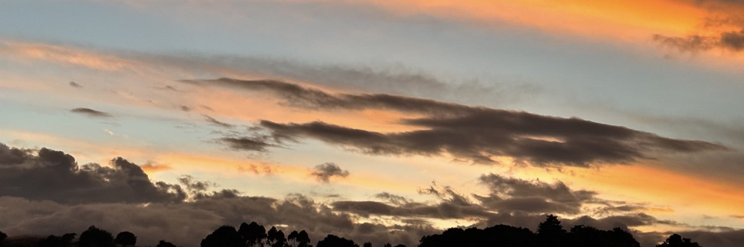 GuzLizzy's profile banner image