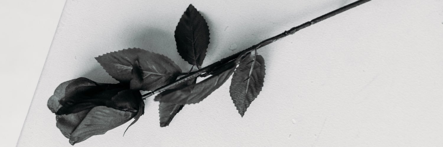 ann_udeh's profile banner image