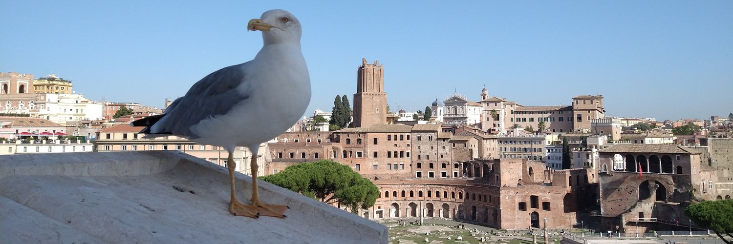 anfelo23's profile banner image