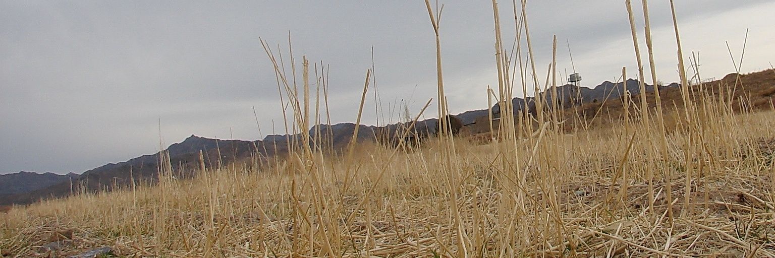 subcett's profile banner image
