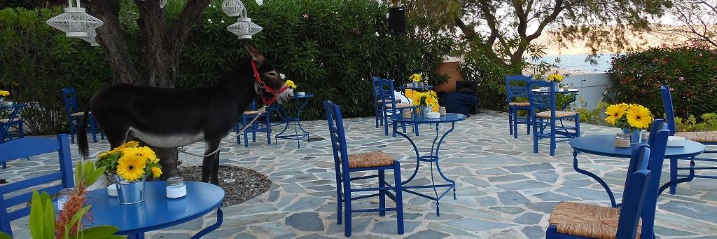 ZazooRentals's profile banner image