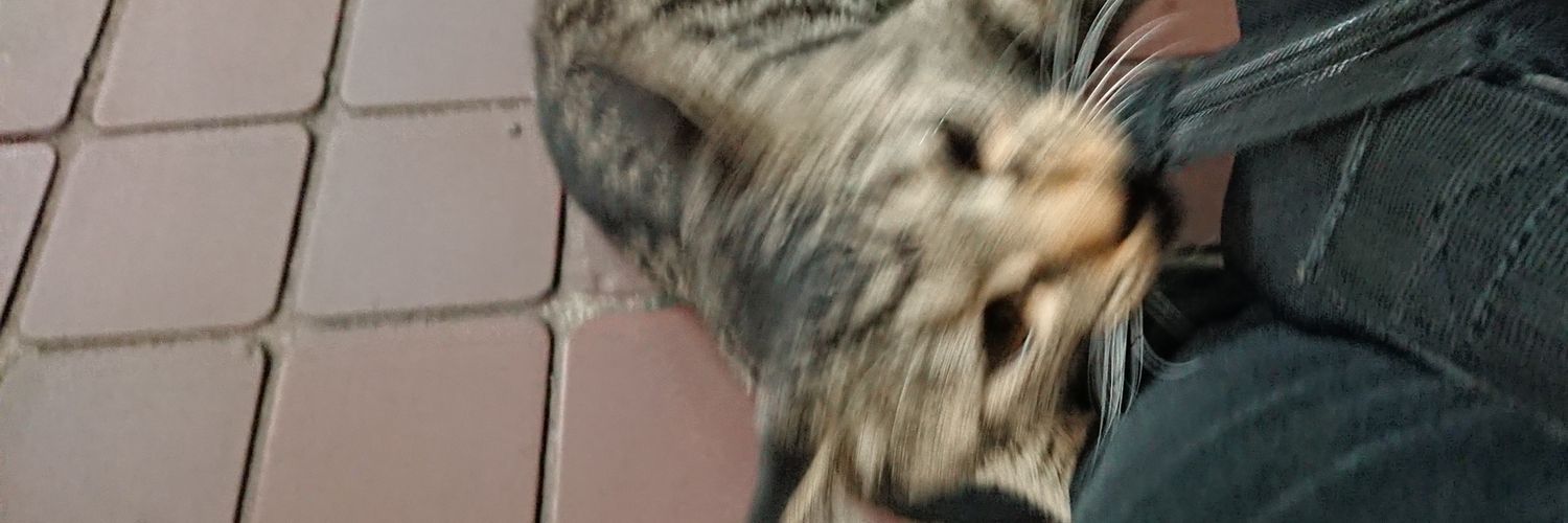 momcmdm's profile banner image
