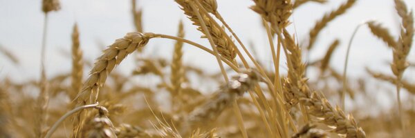 MFA_Inc Profile Banner