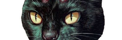 _becaamorim's profile banner image