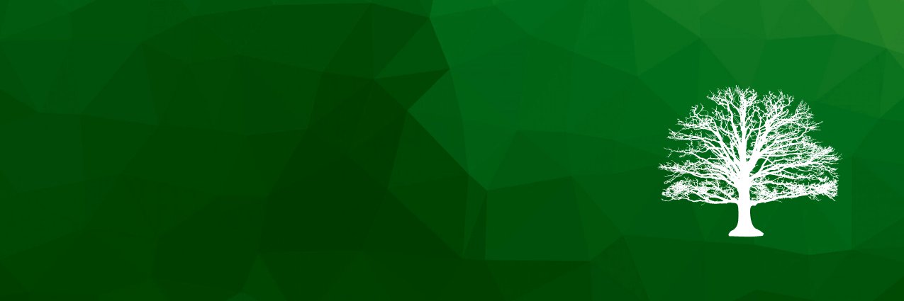 ForestCapM's profile banner image