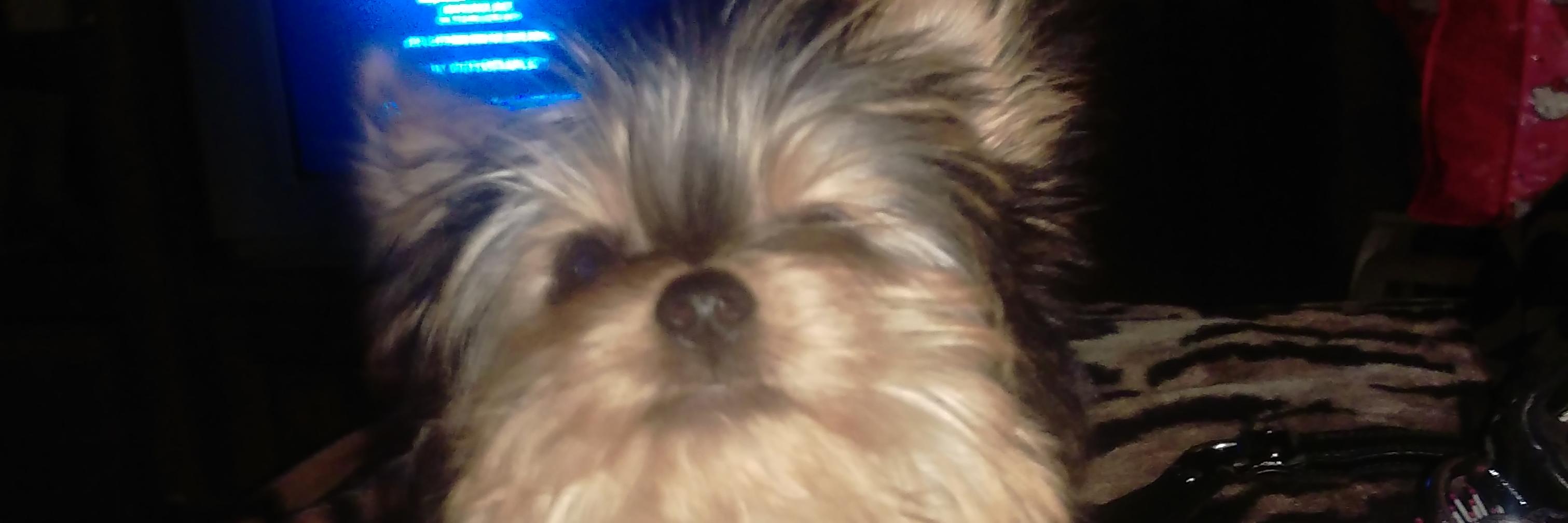 goomba98's profile banner image