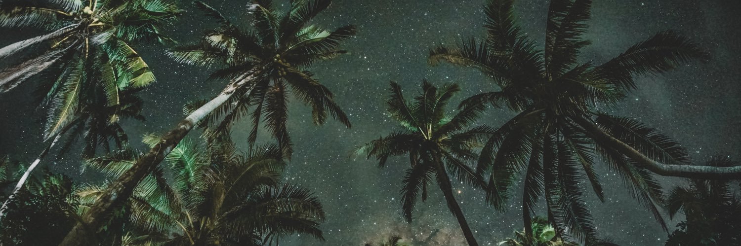 Palazzilandia's profile banner image