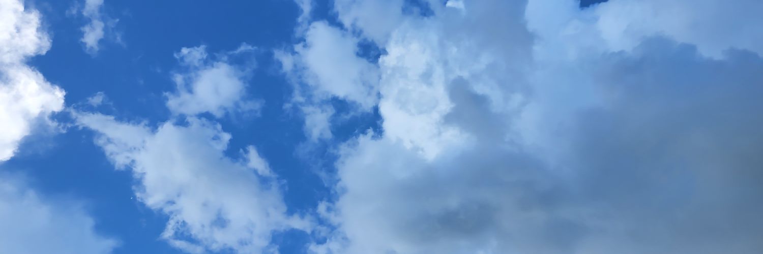 BigSapDaMonsta's profile banner image