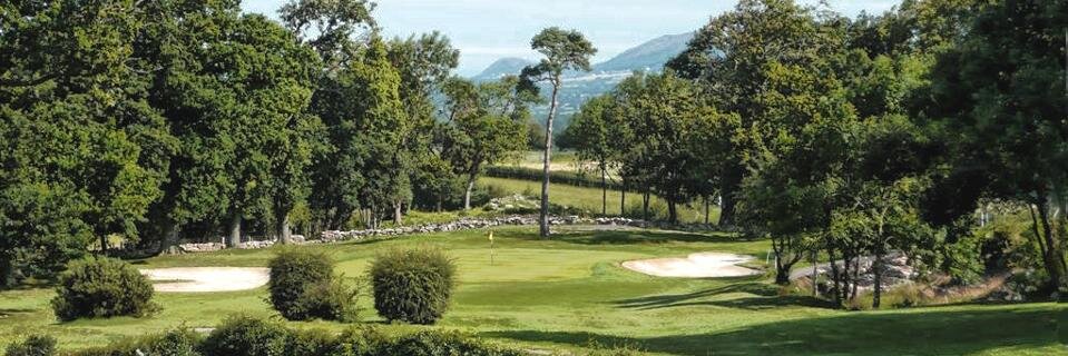 Denbigh Golf Club banner