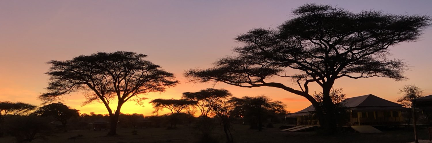 Hatty Moon 문희정 banner