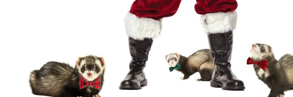 SantasFerrets's profile banner image