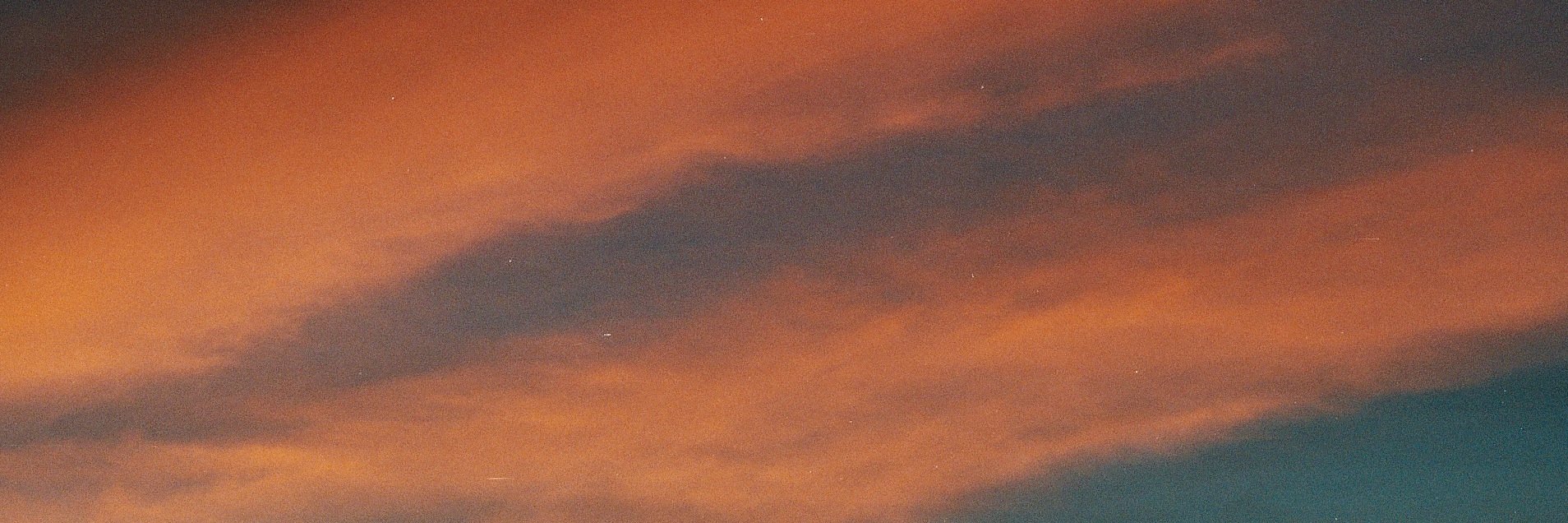 riveriswild's profile banner image