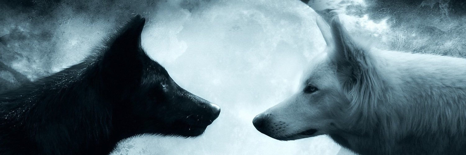 BeauteousM3's profile banner image