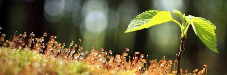BrwaRasool's profile banner image