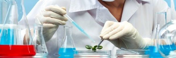 Ghaleb94's profile banner image