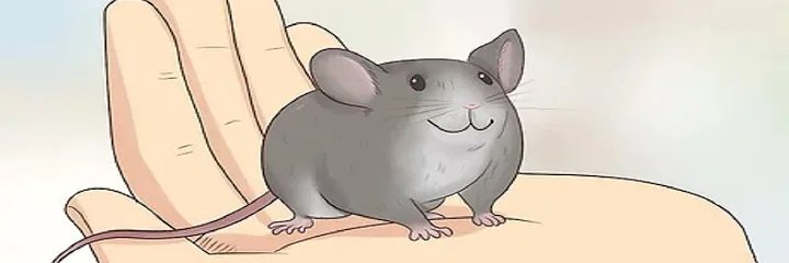 Elliot Williams banner