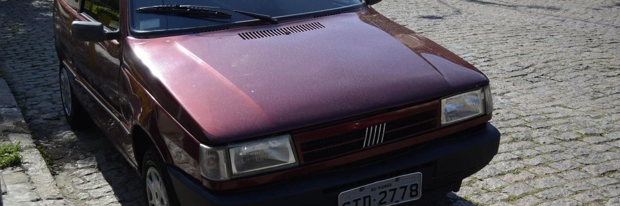 Leonel.bsky.social ♿ banner