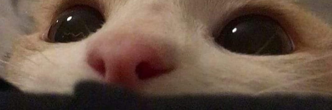 catagudeloc's profile banner image