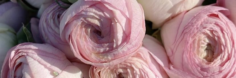laurspearing's profile banner image