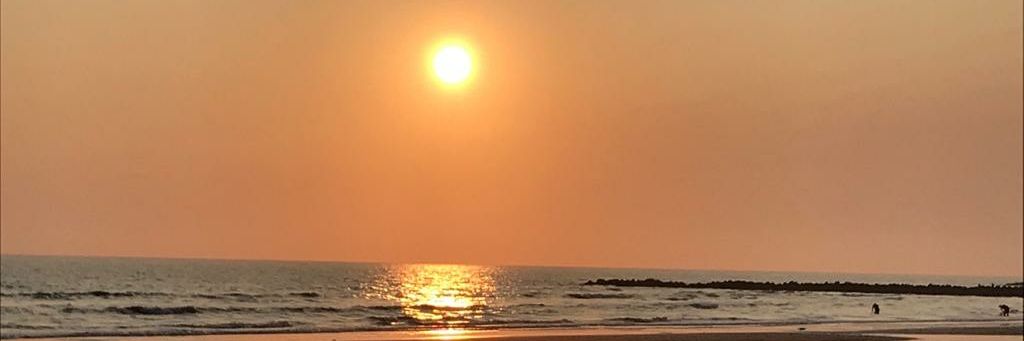 sullmegh's profile banner image