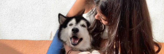 MarcelaAL15's profile banner image