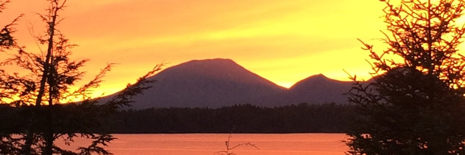 kderickson1's profile banner image