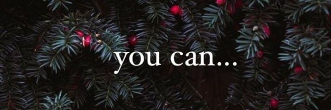 Amoola 🌻🦆 banner