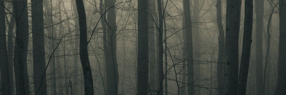 mazlum1882's profile banner image