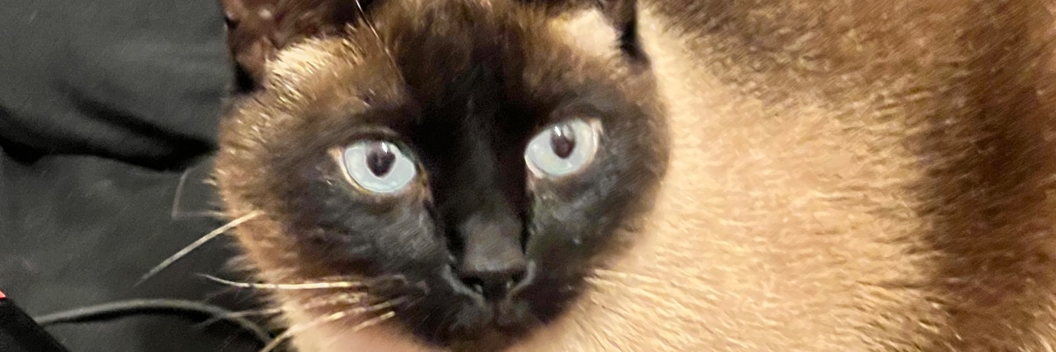 souuulkitty's profile banner image