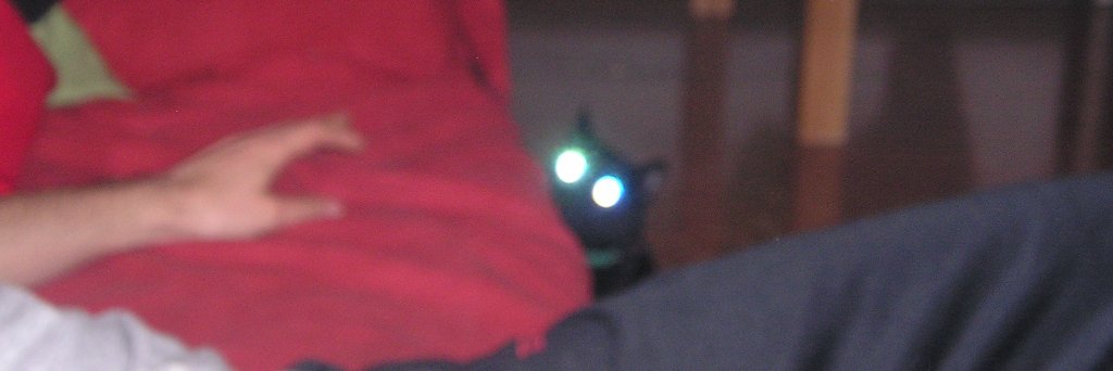 contramunt's profile banner image