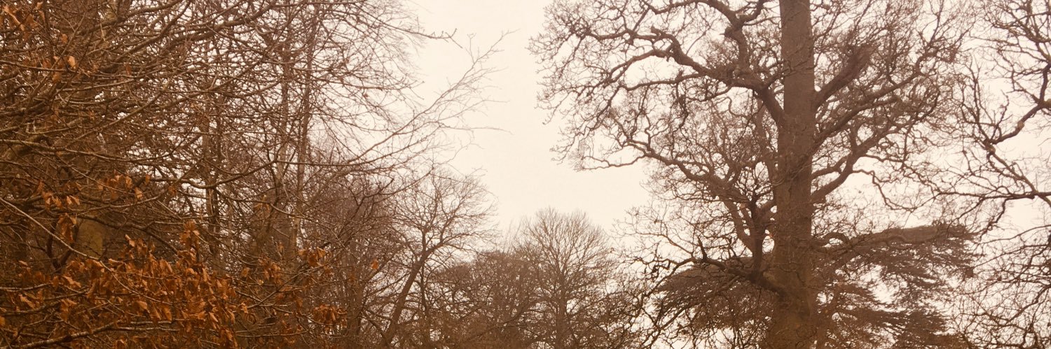 Mrs_Coxy13's profile banner image
