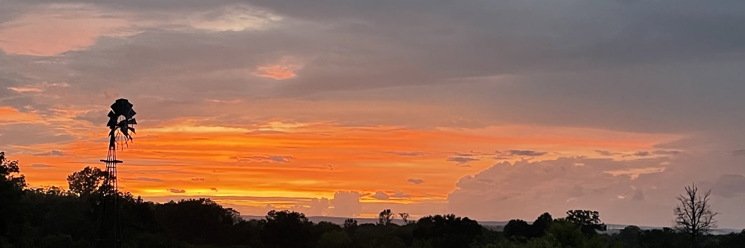 tennlou's profile banner image
