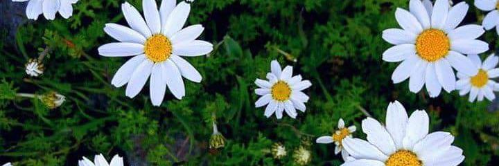 Monxeerry_'s profile banner image