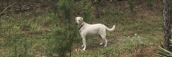 terryannthaxton Profile Banner