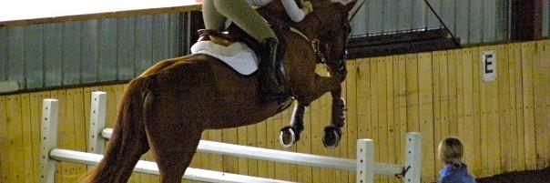 StGeorgeEquine's profile banner image