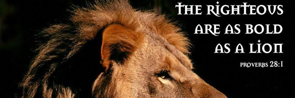 proverbs281's profile banner image