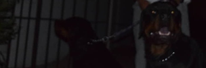 coryosburn_'s profile banner image