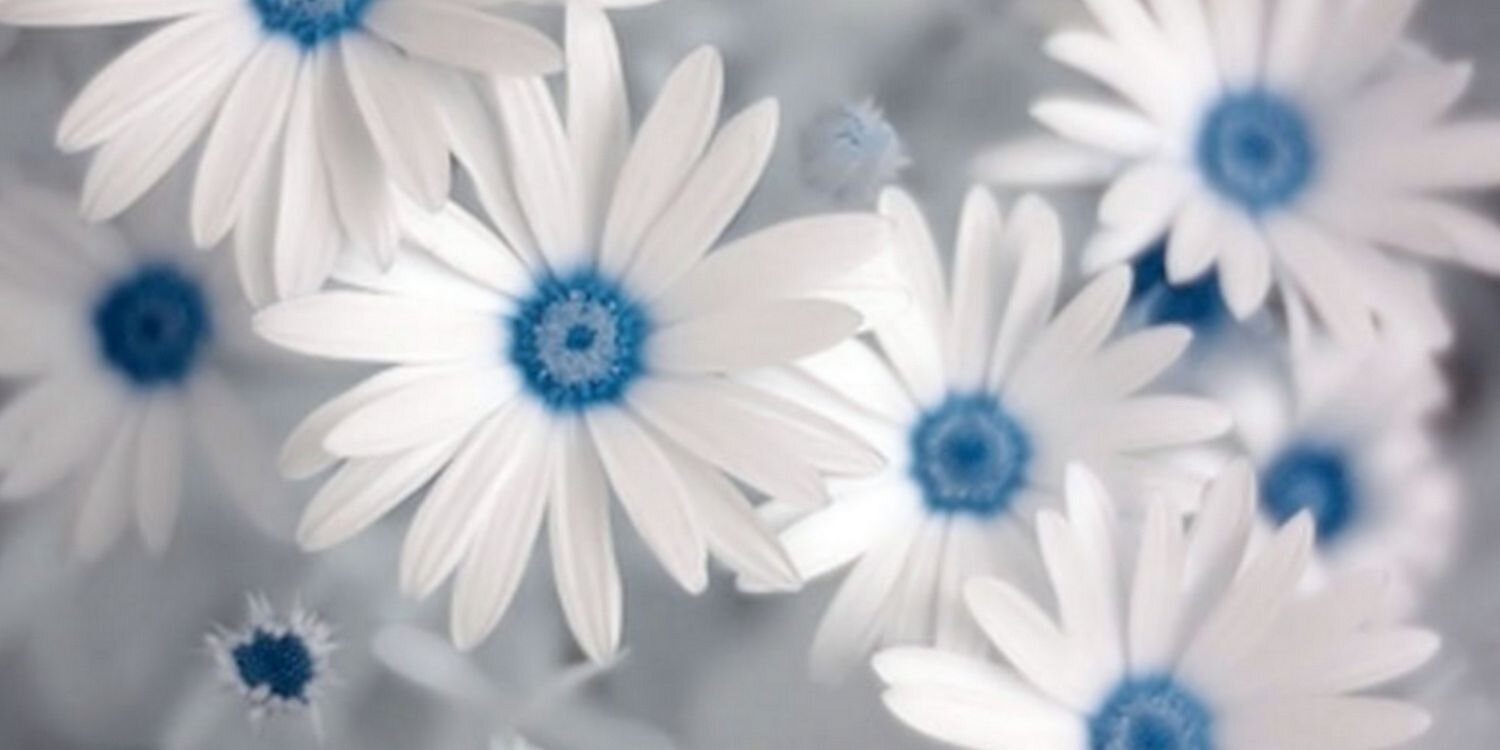 KT_Dillon's profile banner image