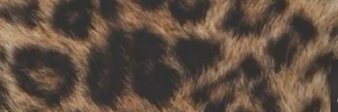 KJemese's profile banner image