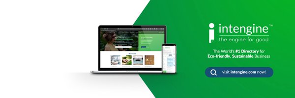 goodintengine Profile Banner