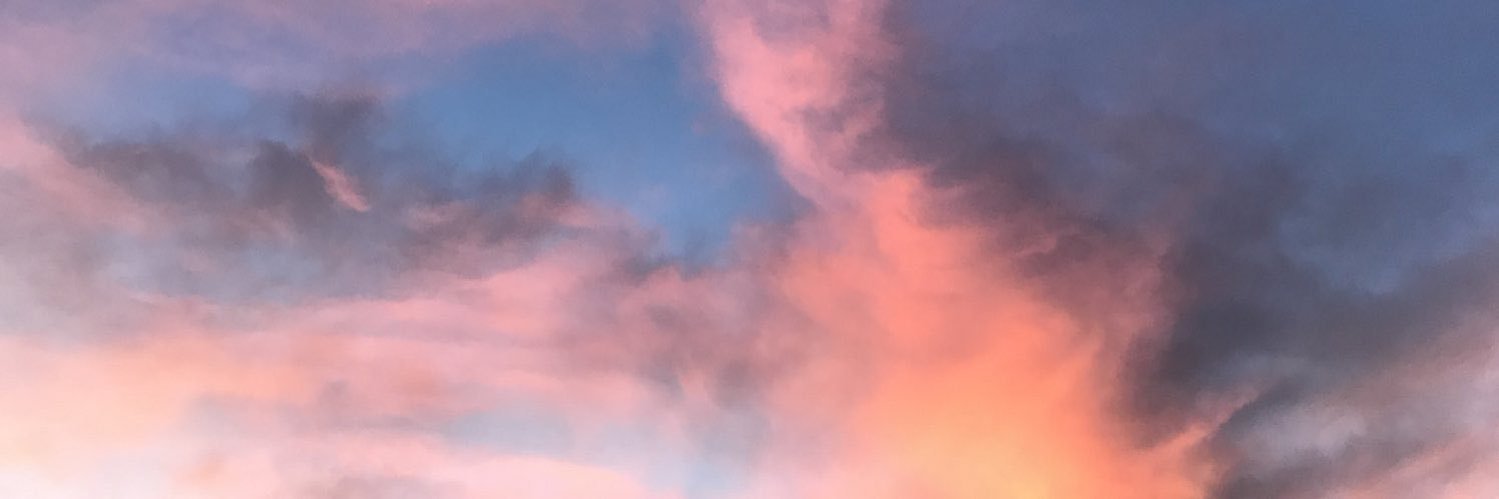 lizjonesss's profile banner image