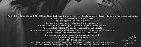 skywriter6 Profile Banner