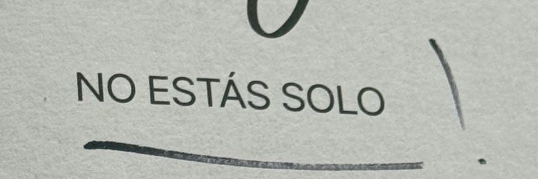 flor torres✨ banner