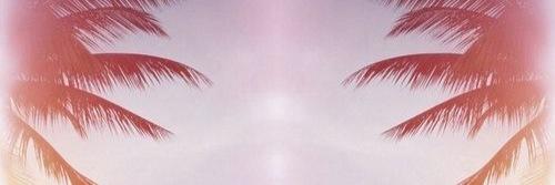 AmaliaLora's profile banner image